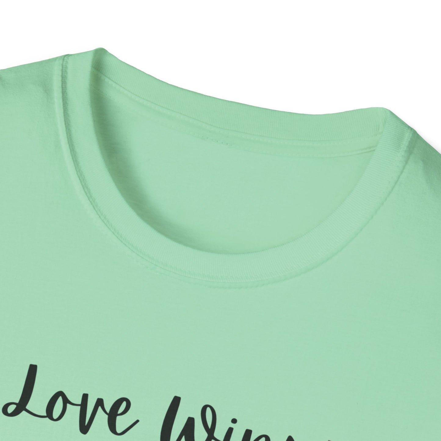 Love Wins LGBTQ+ Shirt, Unisex Softstyle Tee